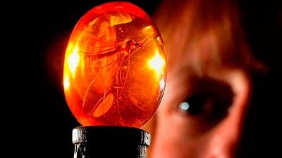 Es la estrella de 'Jurassic Park', pero casi muere en la primera película: fue Steven Spielberg quien le salvó la vida noticias imagen