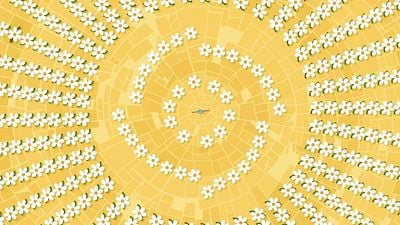 Hoy en TV, la emocionante película española que se coló en los Oscars después de que nadie lo esperara noticias imagen