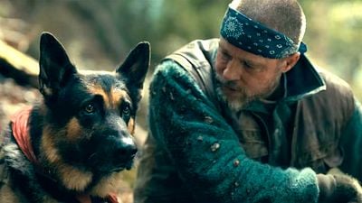La nueva película de Brad Pitt es un thriller de supervivencia que ya tiene a todos rezando por su perro: solo 2 meses para su estreno en cines noticias imagen