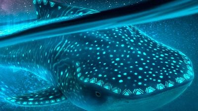 4 meses después de su paso por cines llega a 'streaming' una de las películas más taquilleras de 2024 noticias imagen