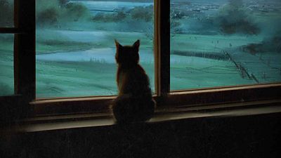 El fin del mundo en una urbanización de Pontevedra: empieza el rodaje de 'Apocalipsis Z: El principio del fin', la visión más realista del colapso noticias imagen