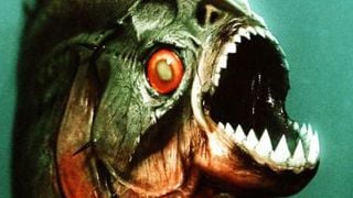 Habrá secuela de 'Piraña 3D'  noticias imagen