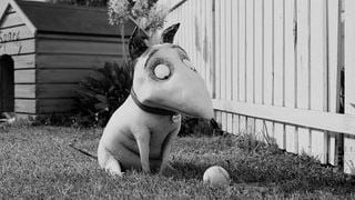 'Frankenweenie': primeras imágenes de lo nuevo de Tim Burton