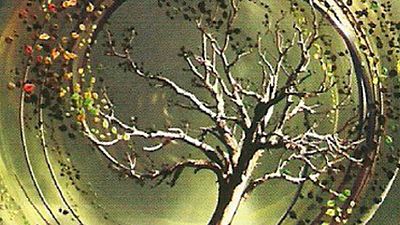 'Insurgente', la secuela de 'Divergente', ya tiene guionista noticias imagen