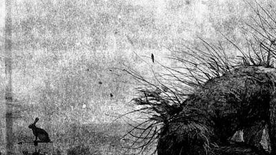 Juan Antonio Bayona dirigirá 'Un monstruo viene a verme' antes de 'Guerra mundial Z 2' noticias imagen