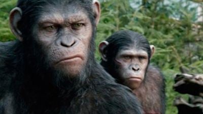 'El amanecer del planeta de los simios': primates armados en las nuevas imágenes