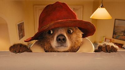 Colin Firth abandona la película del oso Paddington  noticias imagen