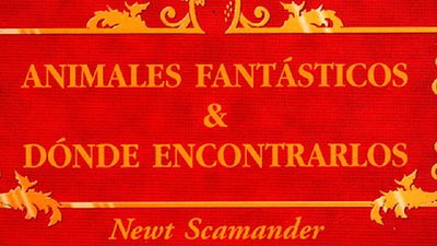 El guion del 'spin-off' de 'Harry Potter', terminado: ¿Qué podemos esperar? noticias imagen