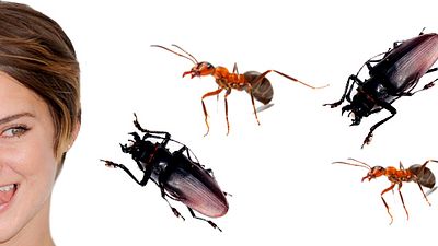 'La serie Divergente: Insurgente': Shailene Woodley cree que los insectos son la comida del futuro noticias imagen