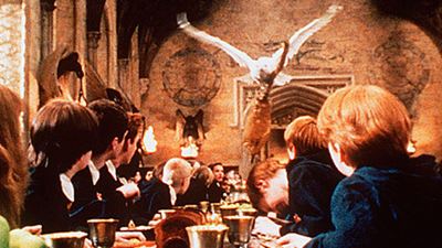 'Harry Potter': Un tribunal francés exonera al criador de unos búhos que participaron en 'La Piedra Filosofal'