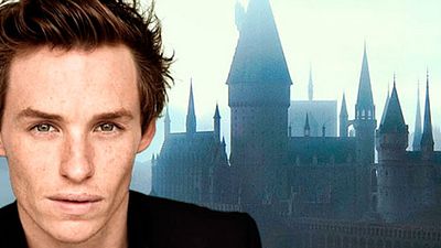 ¿Quién te gustaría que fuera Newt Scamander en el 'spin-off' de 'Harry Potter'?