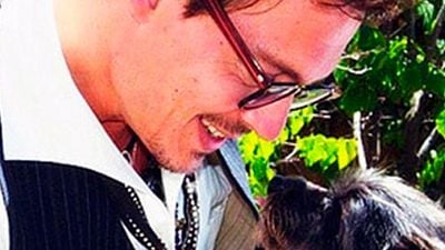 'Piratas del caribe 5': Las mascotas de Johnny Depp, en peligro tras ser introducidas en Australia ilegalmente noticias imagen