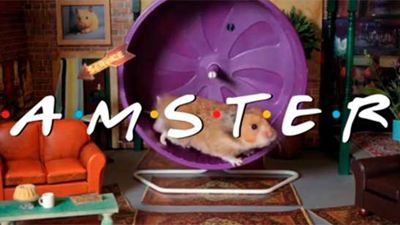 'Friends': Los hamsters protagonizan una nueva versión del opening