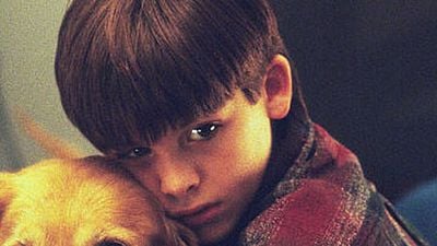 Así está el niño de 'Air Bud' 18 años después noticias imagen