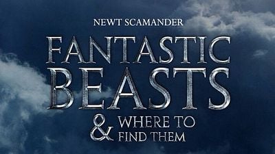 ‘Animales fantásticos y donde encontrarlos’: Una actriz de la saga original se emociona con el ‘spin-off’ noticias imagen