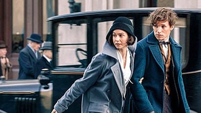 ‘Animales fantásticos y dónde encontrarlos’: Nuevos e interesantes detalles del ‘spin-off’  noticias imagen