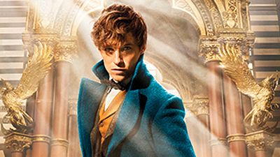 'Animales fantásticos y dónde encontrarlos' se parecerá a 'Harry Potter y el Cáliz de Fuego' noticias imagen