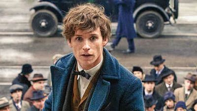 'Animales fantásticos y dónde encontrarlos': Nueva imagen de Eddie Redmayne como Newt Scamander noticias imagen
