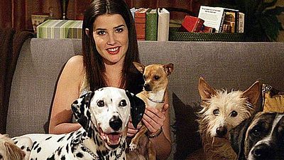 'Cómo conocí a vuestra madre': ¿Qué pasó con los cinco perros de Robin? noticias imagen