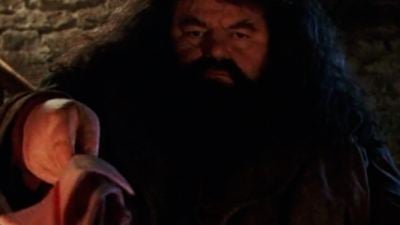 'Harry Potter': ¿Por qué lleva Hagrid un paraguas rosa y para qué sirve? 