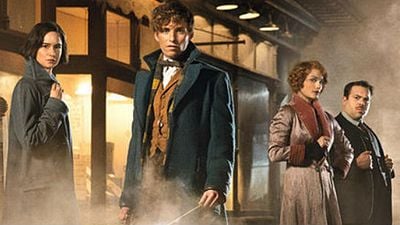 'Animales fantásticos y dónde encontrarlos': ¿Por qué la película ha sido calificada PG-13? noticias imagen