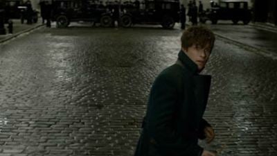 'Animales fantásticos': ¿Te has fijado en el detalle que lleva Newt Scamander en la solapa de la chaqueta?