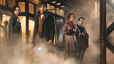 J.K. Rowling confirma que 'Animales fantásticos y dónde encontrarlos' será una saga de cinco películas noticias imagen