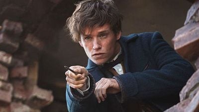 'Animales fantásticos y dónde encontrarlos': J.K. Rowling adelanta en qué año finalizará la historia de Newt Scamander noticias imagen