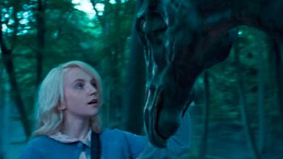 'Animales fantásticos y dónde encontrarlos': La conexión entre Luna Lovegood y Newt Scamander