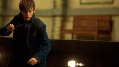 'Animales fantásticos y dónde encontrarlos': La razón por la que Eddie Redmayne no está preocupado porque vayan a ser cinco películas noticias imagen