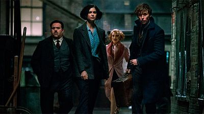 'Animales fantásticos y dónde encontrarlos 2': ¿Revelados posibles detalles de la trama de la secuela? noticias imagen