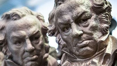 La Academia de Cine denuncia el robo de joyas en los Goya por valor de 30.000 euros  noticias imagen