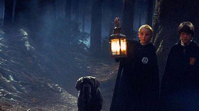 TEST 'Harry Potter': ¿Serías capaz de sobrevivir en el Bosque Prohibido de Hogwarts? noticias imagen