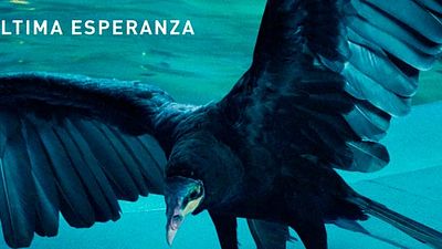 'Ozark': Tráiler oficial y póster en español de la nueva serie de Jason Bateman como un experto en blanquear dinero noticias imagen