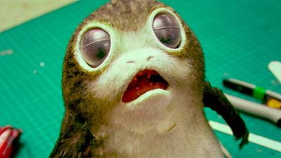 'Star Wars: Los últimos Jedi': Rian Johnson revela nuevos detalles sobre los adorables Porgs noticias imagen