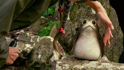 'Star Wars: Los últimos Jedi': El director Rian Johnson habla sobre las críticas hacia los porgs noticias imagen