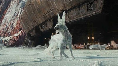 El jefe de criaturas de 'Star Wars: Los últimos Jedi' da más detalles sobre los "zorros de cristal" y los porgs noticias imagen