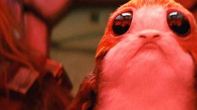 'Star Wars: Los últimos Jedi': Rian Johnson revela nueva información sobre los porgs noticias imagen