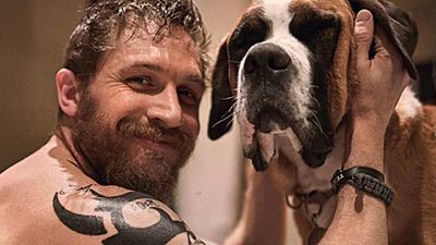 Tom Hardy ayuda a buscar un hogar para estos cachorritos