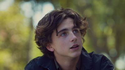 Timothée Chalamet ('Call Me By Your Name') será Enrique V en 'The King'