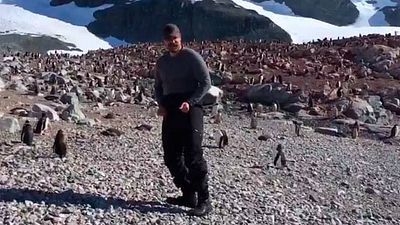 David Harbour ('Stranger Things') llega a la Antártida y baila con pingüinos noticias imagen