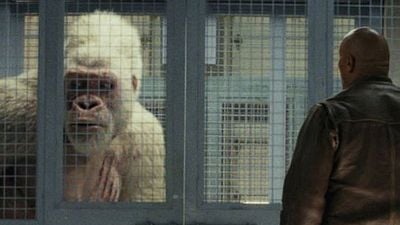 'Proyecto Rampage' lidera la taquilla al recaudar 148 millones de dólares en todo el mundo noticias imagen