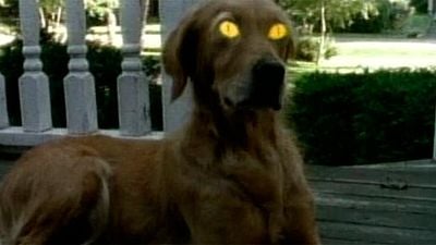 TEST: ¿Qué episodio de 'Pesadillas' eres? noticias imagen