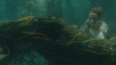 Ya están aquí los Funko Pop de 'Animales fantásticos: Los Crímenes de Grindelwald' noticias imagen