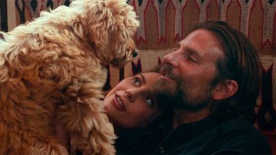 Los fans están sufriendo por el perro de 'Ha nacido una estrella' noticias imagen