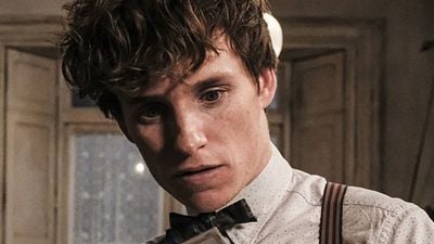 'Animales fantásticos 2' lidera la taquilla española con más de 4 millones de euros en su primer fin de semana noticias imagen