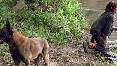'The Walking Dead': los fans inician una petición para que no se carguen al perro de Daryl noticias imagen