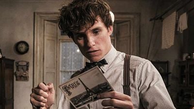 'Animales fantásticos y dónde encontrarlos 3' retrasa un año su fecha de estreno y llegará en 2021 noticias imagen