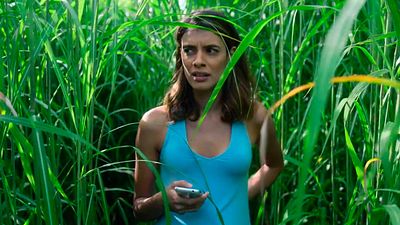 El tráiler de 'En la hierba alta' promete una de las experiencias más claustrofóbicas del cine noticias imagen