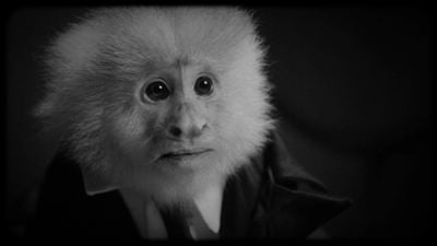 'What Did Jack Do?': David Lynch se estrena en Netflix con un corto sobre el interrogatorio a un mono